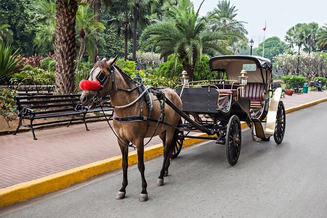 Horse Carriage in Aswan - Booking Information