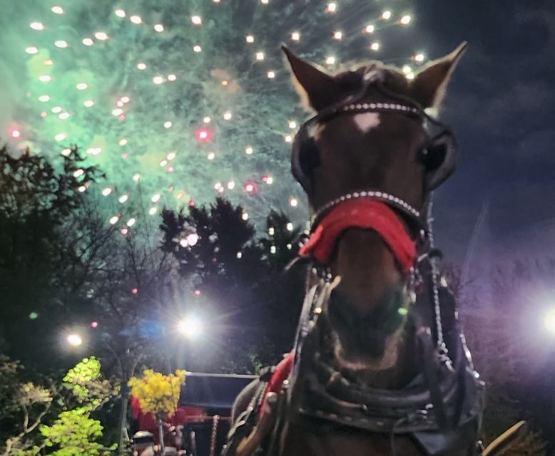 Horse Carriage Ride at Rockefeller Center & Times Square - Who Should Consider This Tour?