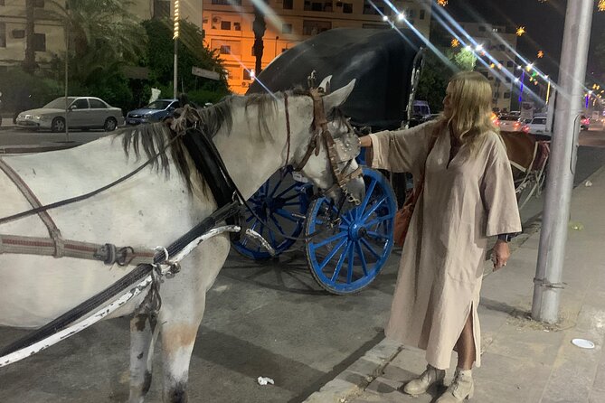 Horse Carriage Ride in Aswan - Frequently Asked Questions