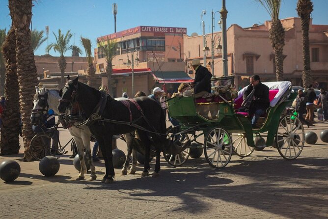 Horse Carriage Ride in Marrakech - Accessibility and Safety Guidelines