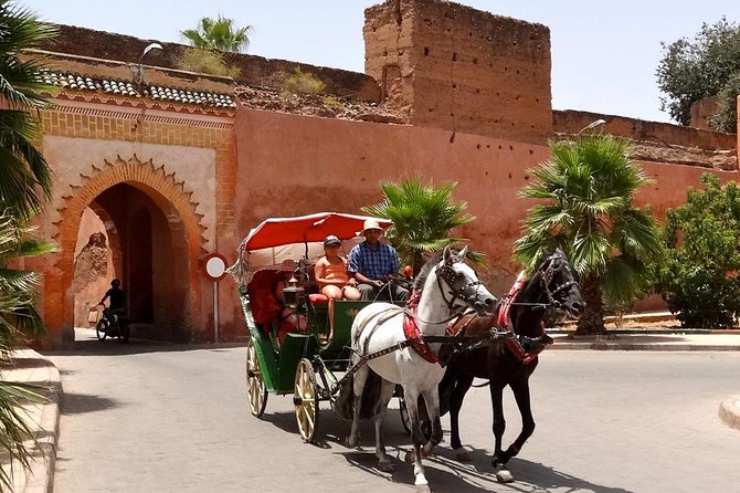 Horse Carriage Ride in Marrakech - Customer Reviews and Ratings