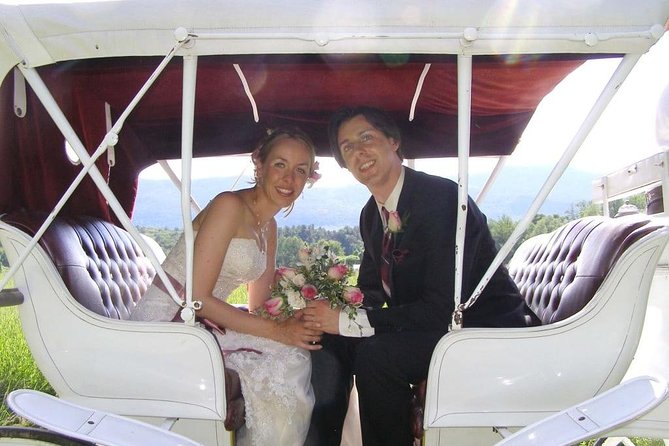 Horse Carriage Romantic Ride (VIP-Private) in Central Park 1964 - Experience Details