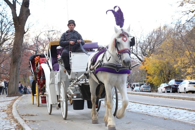Horse Carriage Tour in New York Citys Central Park Small Loop - What To Expect During the Tour