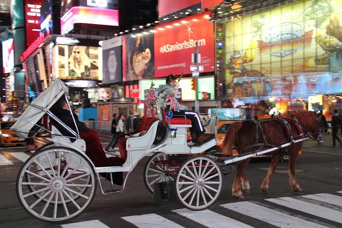 Horse Carriage Tour in New York Citys Central Park Small Loop - Additional Information and Guidelines