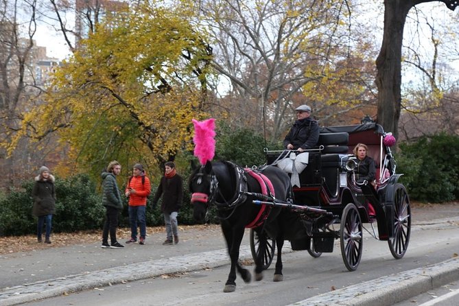 Horse Carriage Tour in New York Citys Central Park Small Loop - Landmarks and Film Locations to Explore
