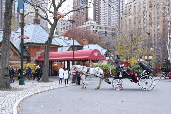 Horse Carriage Tour in New York Citys Central Park Small Loop - Common Questions