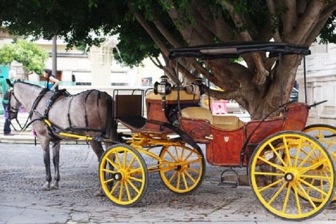 Horse-Drawn Carriage Private Ride Through Seville - Overview and Details