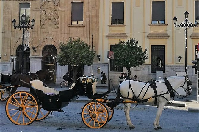 Horse-Drawn Carriage Private Ride Through Seville - The Sum Up