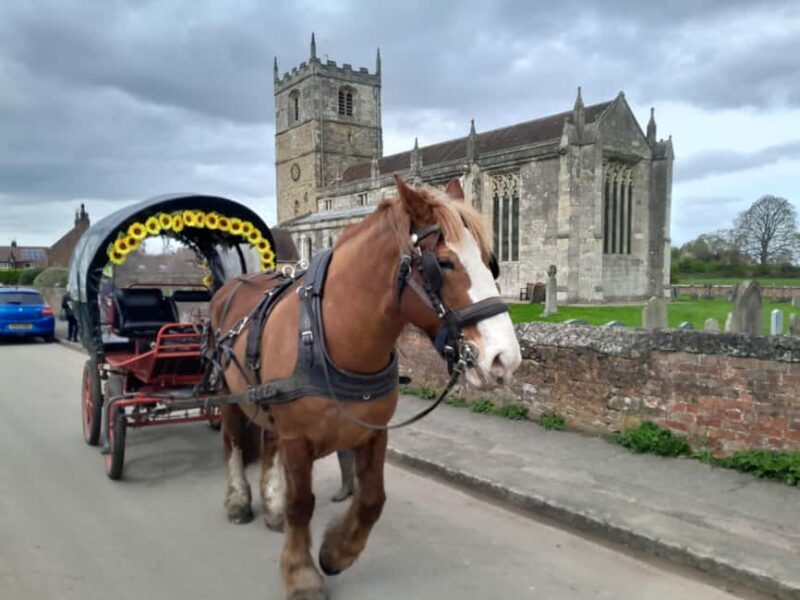 Horse drawn carriage ride and Picnic Hamper - An In-Depth Look at the Experience