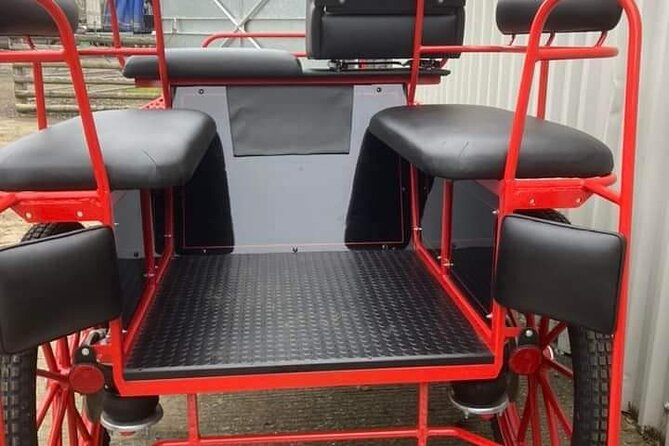 Horse Drawn Carriage Ride - Additional Information