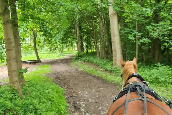 Horse Drawn Carriage Ride - The Sum Up