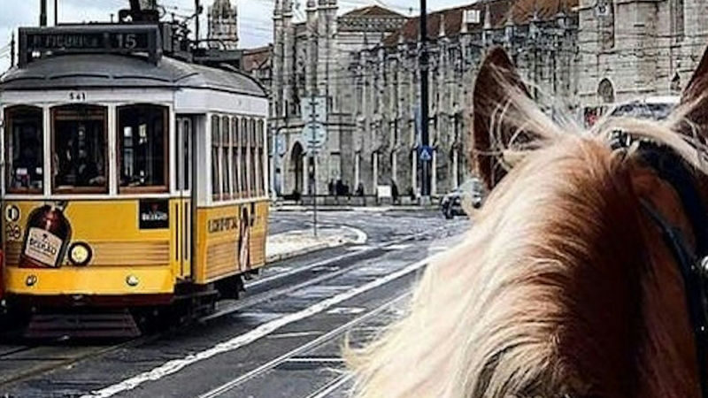 Horse-Drawn Carriage Ride Experience in Belem - A short outing, not a full tour
