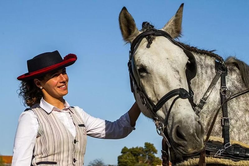 Horse-Drawn Carriage Ride Experience in Belem - Getting there and planning your visit