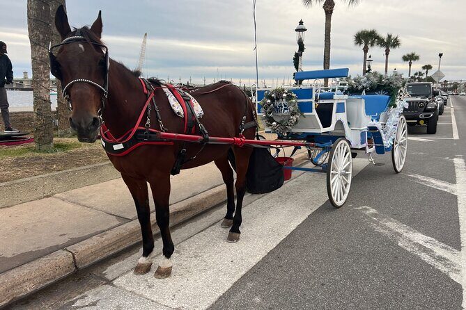 Horse-Drawn Carriage Tour of St Augustine - Final Thoughts on the Horse-Drawn Carriage Tour