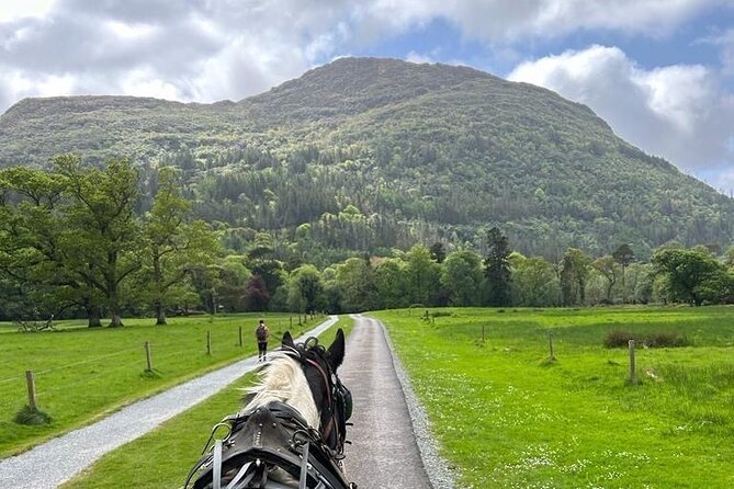 Horse-Drawn Carriage Tours in Killarney - Pricing and Booking Details