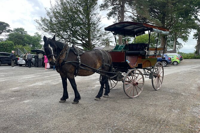 Horse-Drawn Carriage Tours in Killarney - Accessibility and Restrictions