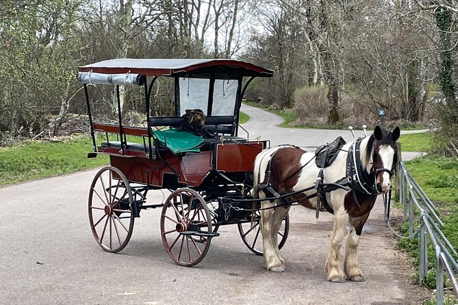 Horse-Drawn Carriage Tours in Killarney - Cancellation Policy