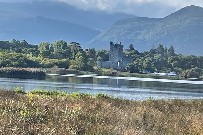 Horse-Drawn Carriage Tours in Killarney - Customer Reviews