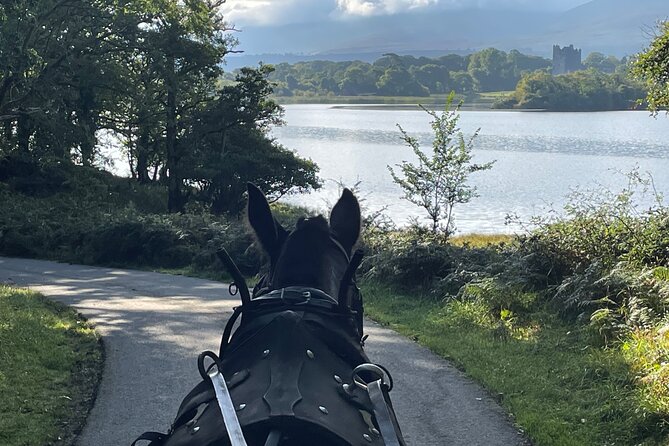 Horse-Drawn Carriage Tours in Killarney - Frequently Asked Questions