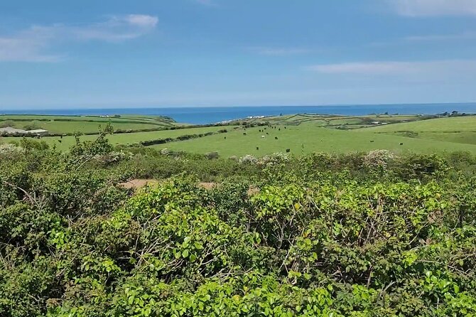 Horse Drawn Countryside Tours - Tour Highlights