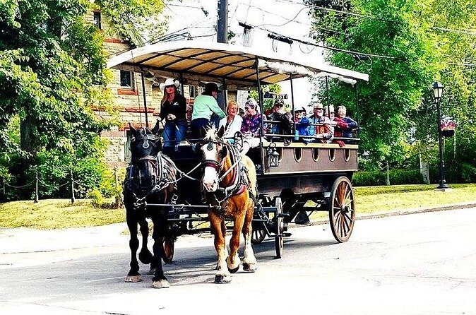 Horse Drawn Historical Guided Tour - Why We Think This Tour Is Worth It