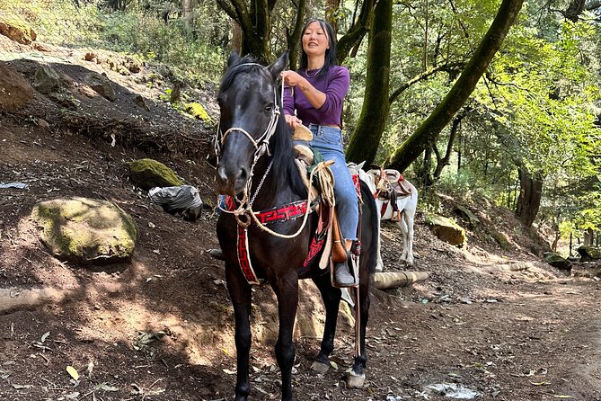 Horse Experience With My Family - Choosing the Perfect Riding Location