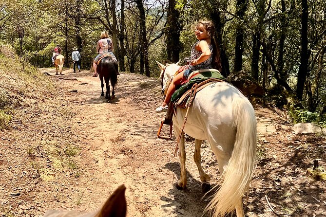 Horse Experience With My Family - Fun Activities for Kids and Adults