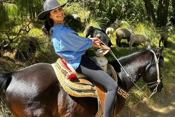 Horse Experience With My Family - Common Questions