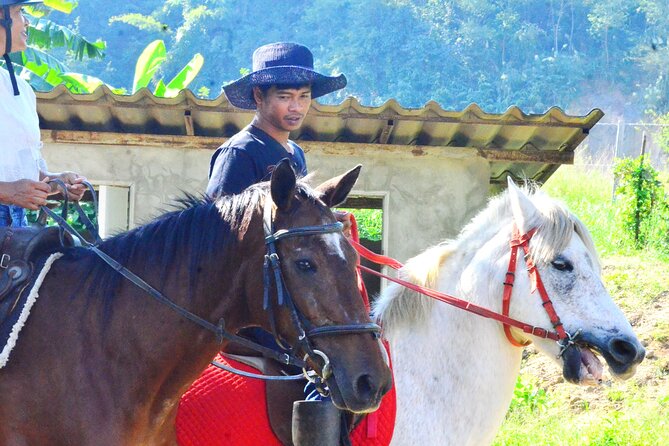 Horse Lesson+Riding+Wat Tonkwen Wooden Temple.Chiangmai - Details of Wat Tonkwen Wooden Temple