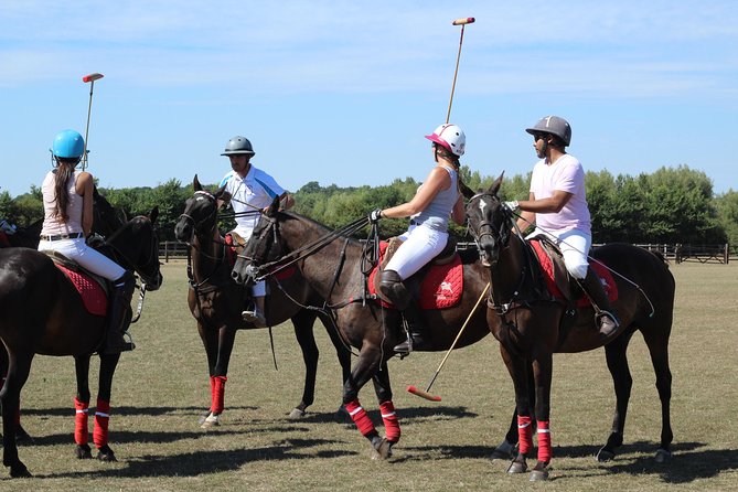 Horse & Polo in Windsor, UK - Pricing and Booking Details