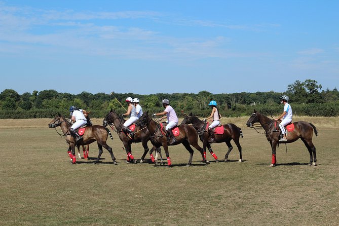 Horse & Polo in Windsor, UK - The Sum Up