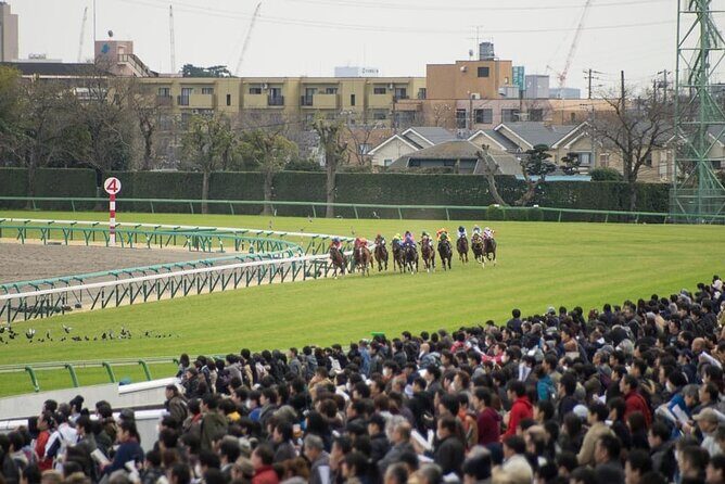 Horse Racing Tour with Local Fans in Nakayama Racecourse - Good To Know