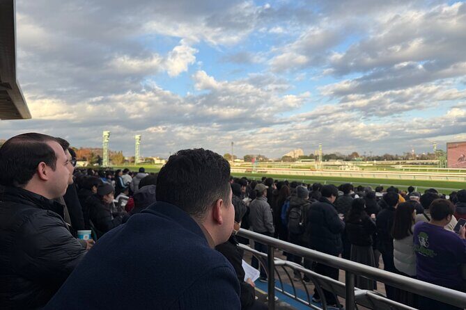 Horse Racing Tour with Local Fans in Nakayama Racecourse - The Sum Up