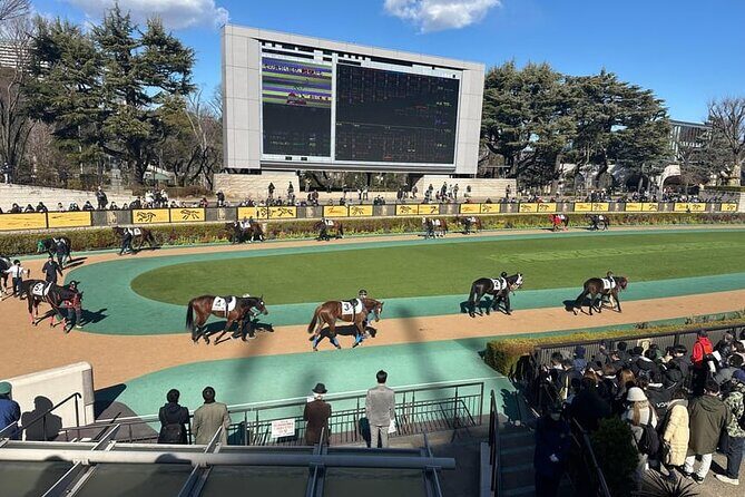 Horse Racing Tour with Local Fans in Nakayama Racecourse - An In-Depth Look at the Tour