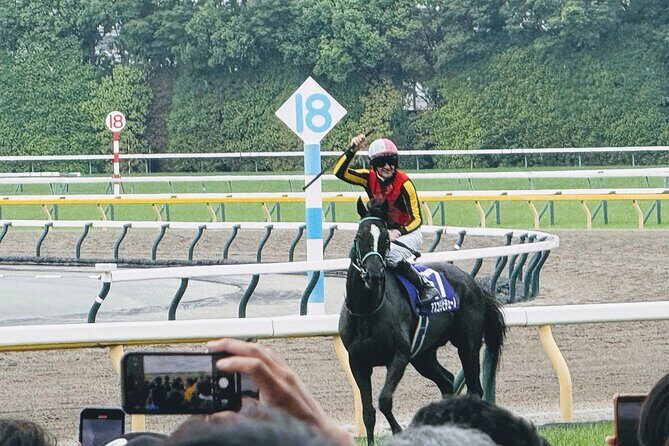 Horse Racing Tour with Local Fans in Tokyo Racecourse - The Value Proposition – Is It Worth It?