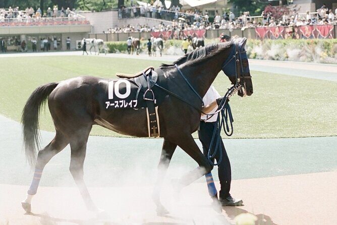 Horse Racing Tour with Local Fans in Tokyo Racecourse - The Sum Up