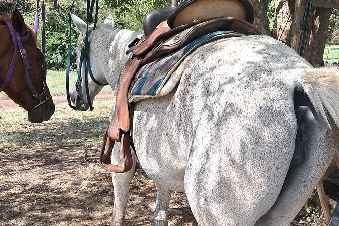 Horse Ride and Hike Tour to Pigeon Island with Lunch with Dore's - An In-Depth Look at the Horse Ride and Hike Tour Experience