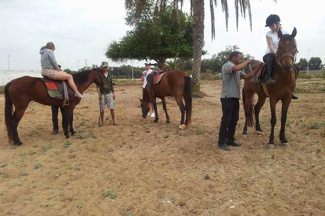 Horse Ride at the Marrakech Desert - Good To Know