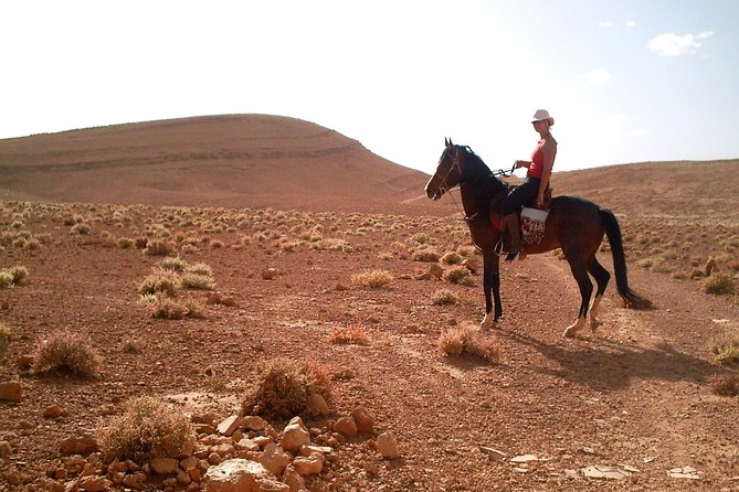 Horse Ride at the Marrakech Desert - Private Tour Inclusions
