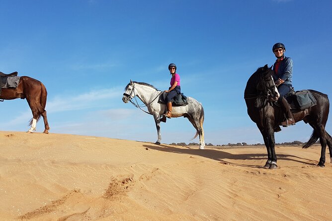 Horse Ride in Agadir - Experience Highlights
