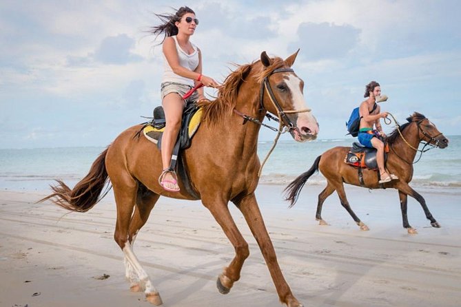 Horse Ride in Agadir - Good To Know