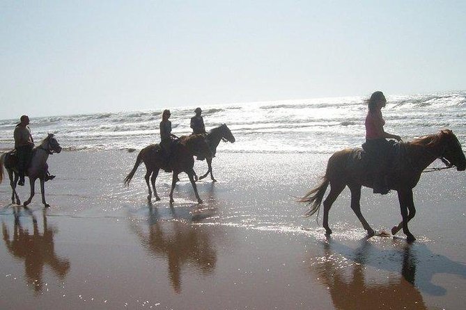 Horse Ride in Agadir - Transport Options