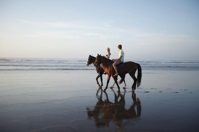 Horse Ride in Agadir - Refreshments Included