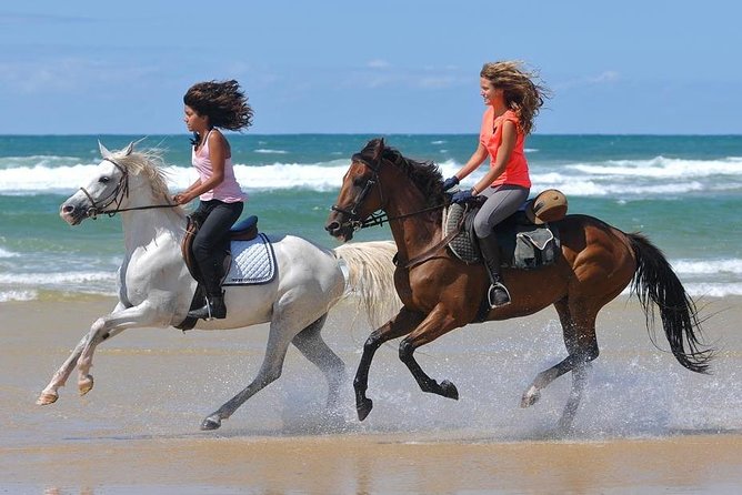 Horse Ride in Agadir - Pickup Information