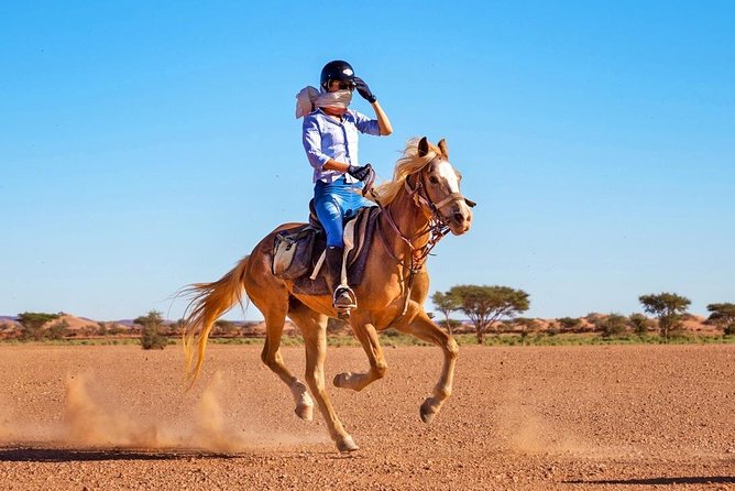 Horse Ride in Agadir - Customer Reviews