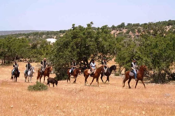 Horse Ride in Agadir - Frequently Asked Questions