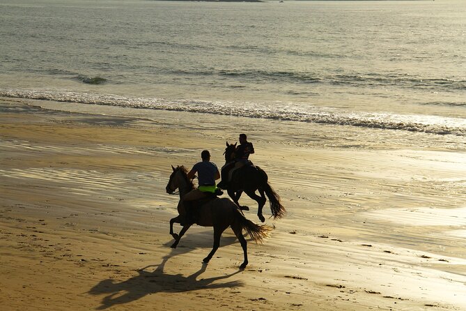 Horse Ride in Taghazout or Agadir - Good To Know