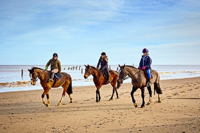 Horse Ride in Taghazout or Agadir - Tour Details and Inclusions