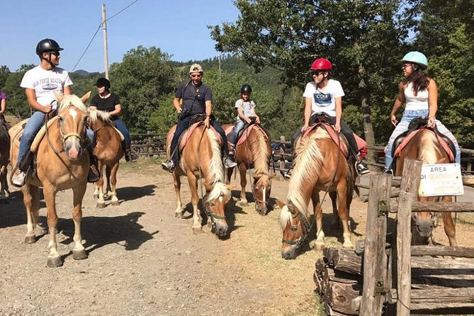 Horse Ride in the Mugello (Transfer From / to Florence) and Tuscan Aperitif - Activity Overview
