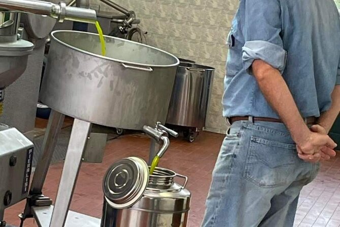 Horse Ride, Olive Oil and Local Foods Tasting in a Tuscan Farm - Olive Oil Tasting Delights